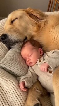A heartwarming scene: a baby sleeping next to his loyal dog ❤️🐶. Moments like these remind us of the power of love and devotion! #dog #baby #ai #sleeping