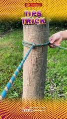 Tips Trick Today, Senin 1 Desember 2025