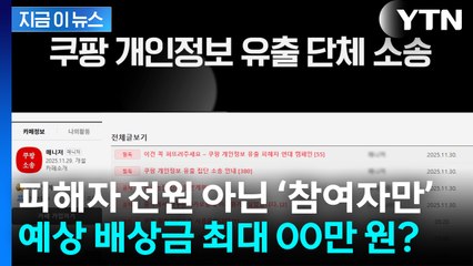 피해자 전원 아닌 ‘참여자만’...승소 시 예상 배상금은? [지금이뉴스] / YTN