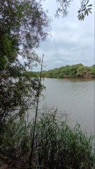 Pescando bagres en la Calera y explorando la costa del arroyo!