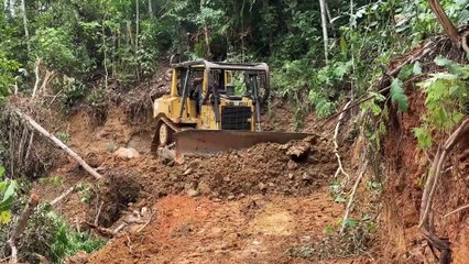 Effectiveness of the D6R XL Bulldozer in Road Maintenance in Plantations