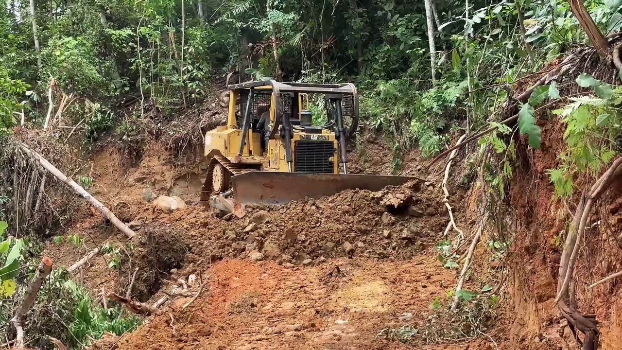 Effectiveness of the D6R XL Bulldozer in Road Maintenance in Plantations