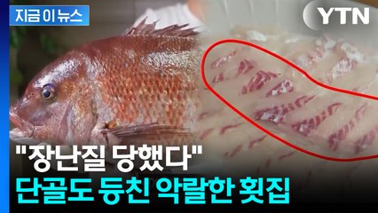 "요즘 이러면 골로갑니다"...전문가도 놀란 악랄한 횟집 [지금이뉴스]  / YTN