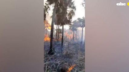 Gran incendio en San Ber ya afecta humedales del lago Ypacaraí