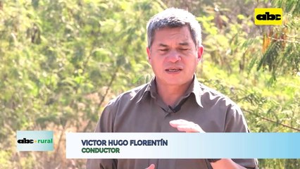 Video: ¿Cuántas toneladas de cobertura se debe producir al año en una hectárea?