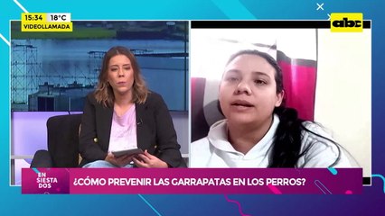Video: ¿Cómo prevenir las garrapatas en los perros?