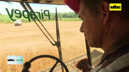 Video: USDA prevé que Paraguay llegará a las 10 millones de toneladas en soja 2023/2024