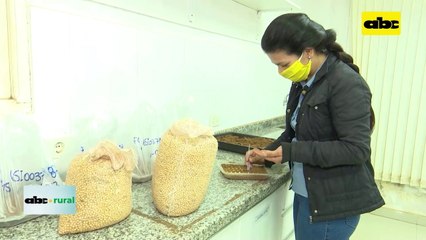 Video: piden actualizar Ley de Semillas en Congreso