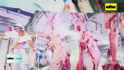 Video: Brasil entra fuerte con su carne bovina a Chile