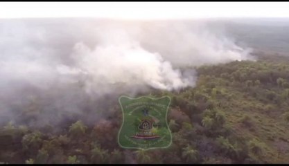 Vistas Del Dron Del Incendio Forestal En Nueva Colombia