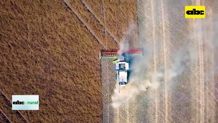 Video: presentaron triturados de semillas de malezas en congreso de Aapresid