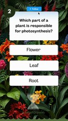 #Plans#quiz#mcqs#test