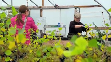 Countryfile (1988) Season 37 Episode 47