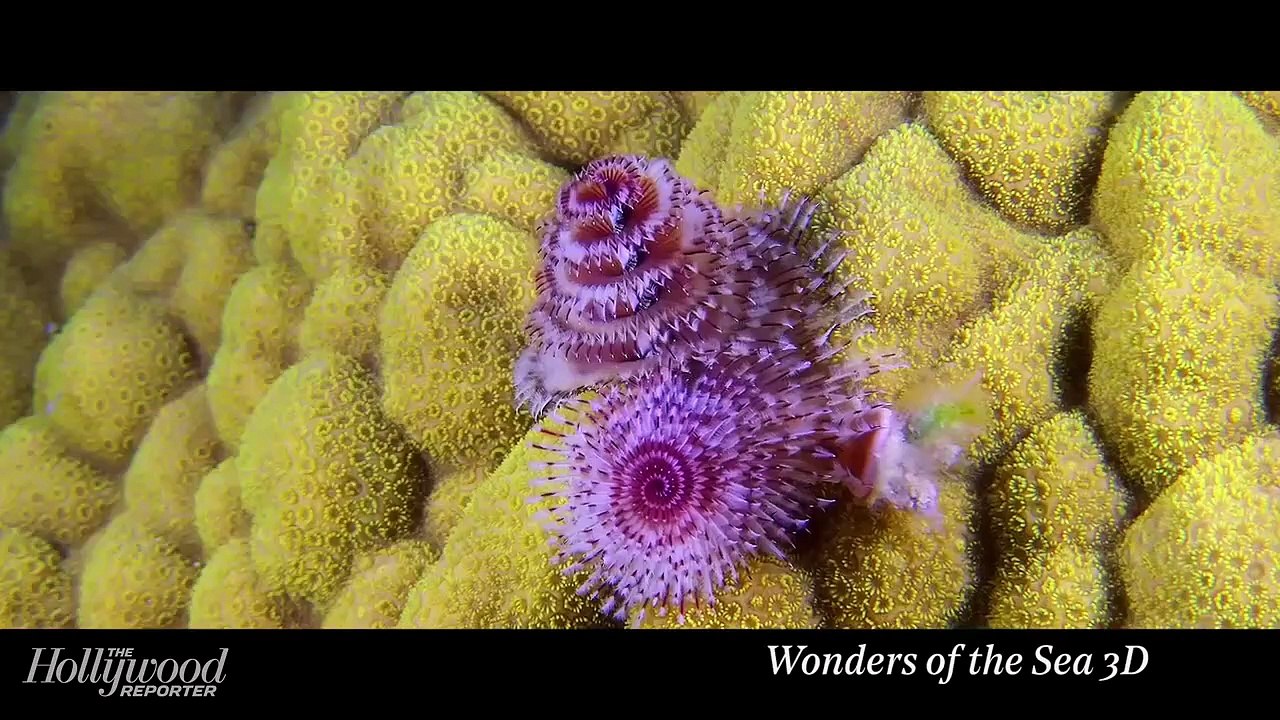 Arnold Schwarzenegger: "You Always Want to Make People Feel Great" | 'Wonders of the Sea 3D' | Cannes 2017