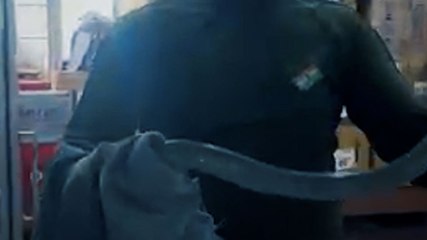 ICU में घुसा सांप, मची अफरा-तफरी