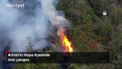 Artvin'deki örtü yangını kontrol altına alındı
