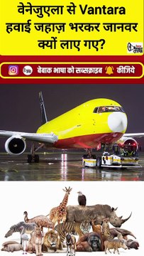 वनतारा में वेनेजुएला से लाए गए थे हवाई जहाज में भरकर हजारों दुर्लभ जानवर!