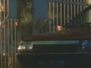 the longest nite 10 (fin)