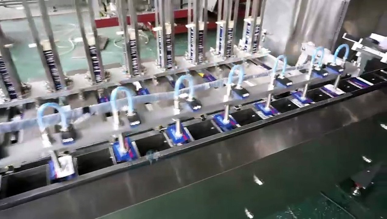 4 Sides  Seal Sachet  Count Sort and Cartoning Machine