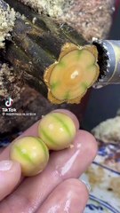 #satisfying #machine #in  #action #foryou