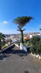 Monte di Procida (NA) - Le dimissioni di Melania Scotto e il grande progetto di Torrefumo (30.11.25)