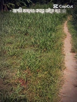 আমি হাসলেও কবরে যাব আমি কাঁদলেও কবরে যাব।