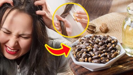 Castor Oil Benefits For Hair:सर्दियों में आरंडी का तेल बालों में लगाने के फायदे| Benefits In Winter