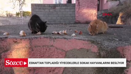 Esnaftan topladığı yiyeceklerle gönüllü olarak sokak hayvanlarını besliyor