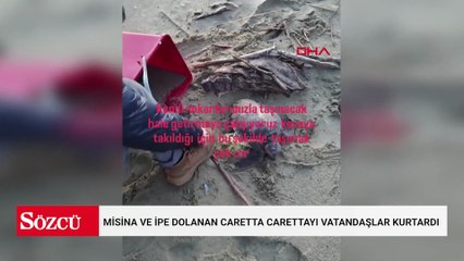 Misina ve ipe dolanan caretta carettayı vatandaşlar kurtardı