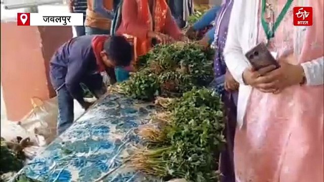 फूड सेफ्टी टीम ने लिए पालक, मेथी और गोभी के सैंपल, नाले के पानी का जहर कितना खतरनाक