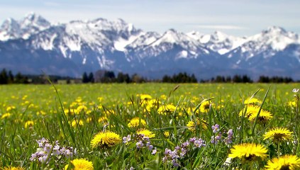 Sturm der Liebe 4507 folge