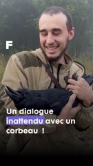 Ce que fait ce corbeau est très étonnant !