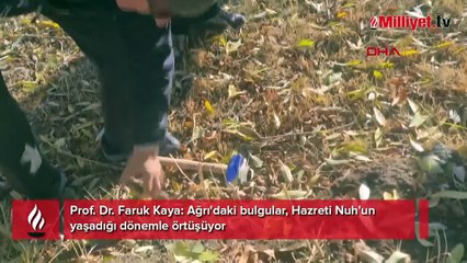 Yüzbaşı uçaktan keşfetti! Her gelen bir parçasını götürüyor: Dışarı çıkarılması derhal durdurulmalı