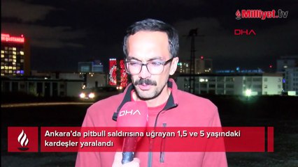Ankara 1,5 ve 5 yaşındaki çocuklara pitbull saldırdı! Şok detaylar: 'Tasmasını açıp, ısırtmakla tehdit etmiş'