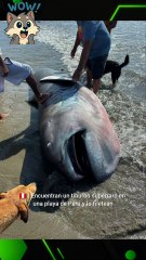 URGENTE  NO SABIAS DE ESTO