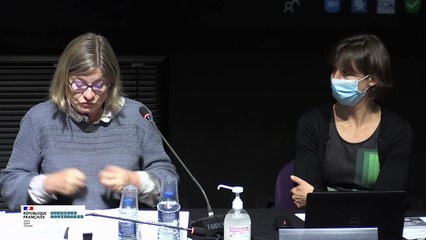 11 - Journée de lancement du projet ANR DESIGNSHS- M-Vic.Ozouf-Marignier