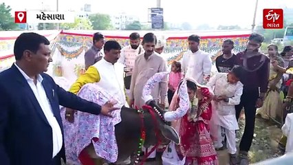 ગૌસેવાનો સંદેશ: મહેસાણામાં દીકરીને કન્યાદાનમાં પિતાએ ગાયનું દાન કર્યું, લગ્ન પ્રસંગે એક અનોખી પહેલ