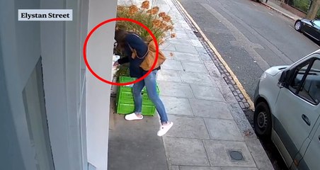 CCTV footage catches seafood thief outside west London restaurant