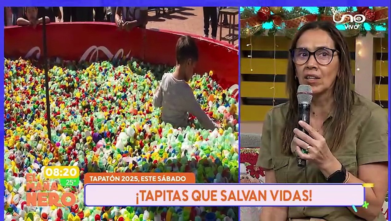 TAPATON 6 DE DICIEMBRE mp4