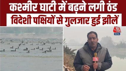 कश्मीर में सर्दियों के मौसम में विदेशी पक्षियों से भर गई झीलें, देखें Video