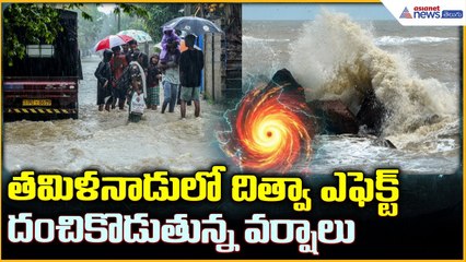 Cyclone Ditwah Effect: తమిళనాడులో దిత్వా ఎఫెక్ట్ దంచికొడుతున్న వర్షాలు | Asianet News Telugu