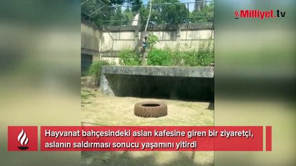 Hayvanat bahçesinde aslanın kafesine girdi, feci şekilde hayatını kaybetti