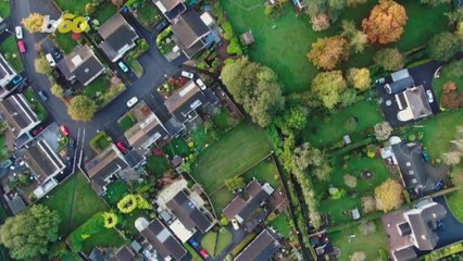 Here Are Easy Ways To Block Your Neighbors View Into Your Yard