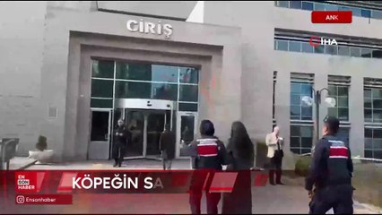 Ankara'da 2 çocuğu yaralayan pitbull cinsi köpeğin sahibi tutuklandı