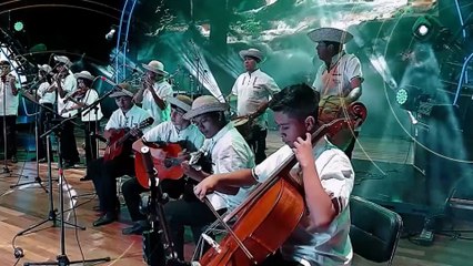 Sigue nuestra programación