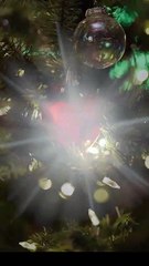 Oops! I Married My Forgetful Ex-Boyfriend (2025) - FULL [Eng Sub]