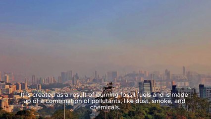 Unlock the Secrets of Success | Must Watch!"  "Top