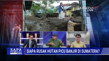Soroti Penyebab Banjir Sumatera: Aktivis Singgung PSN Era Jokowi, DPR Kritik Pembebasan Hutan