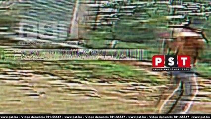 Casos de violencia en colegios informe especial scz