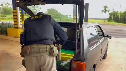 PRF apreende adolescente transportando 234 kg de maconha em Icaraíma